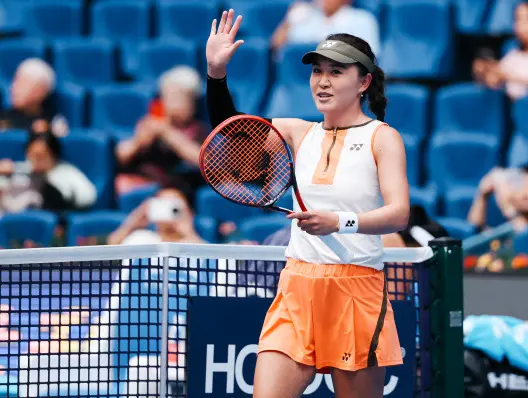 情在增长, msn 情在增长, msn