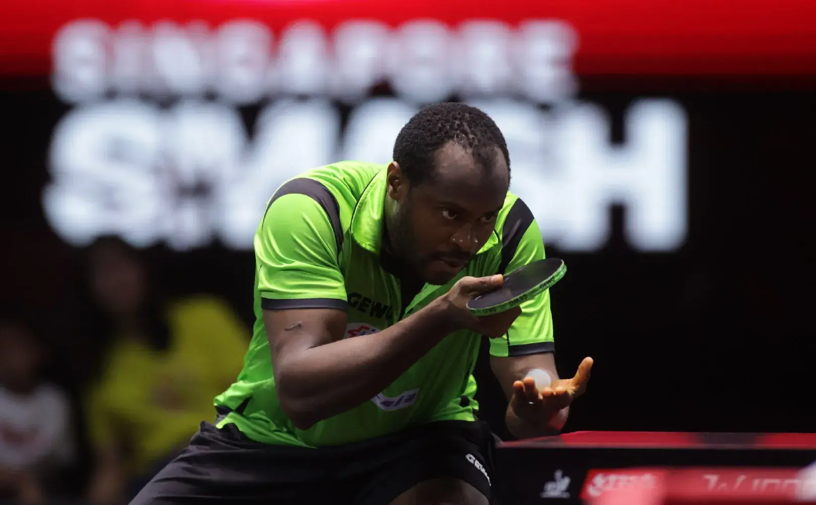 关卓琳, 藤美诚, img